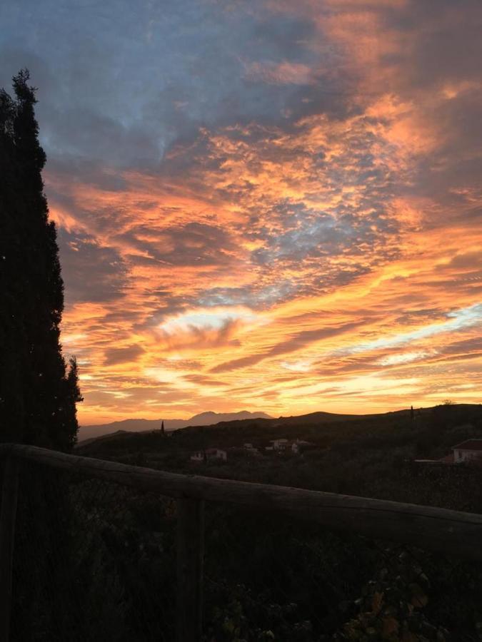 Casa Rural La Higuera Chica มาลากา ภายนอก รูปภาพ